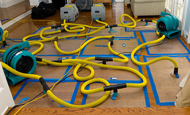 Professional Crawl Space Water Removal technician working in Emmett, MI